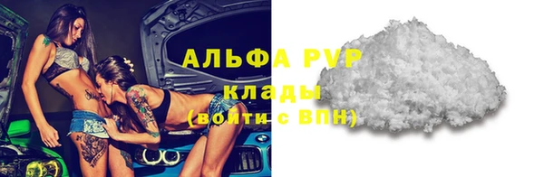 крисы Алзамай
