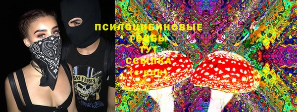 амф Няндома