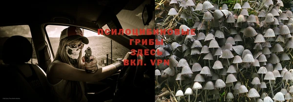 меф Алексеевка