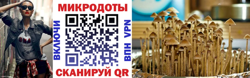 Псилоцибиновые грибы мухоморы  купить  сайты  Кинель 